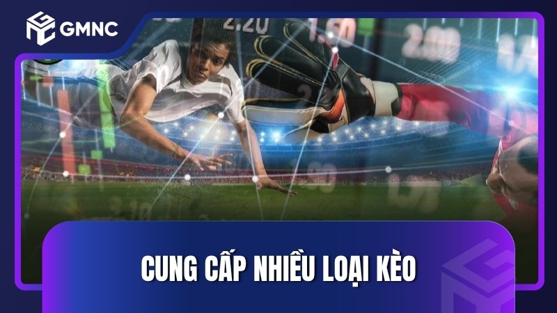 Cung cấp nhiều loại kèo