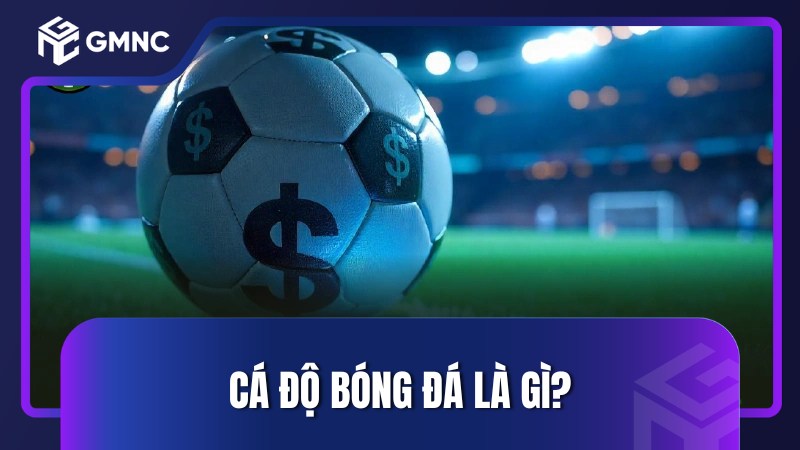 Cá độ bóng đá là gì?