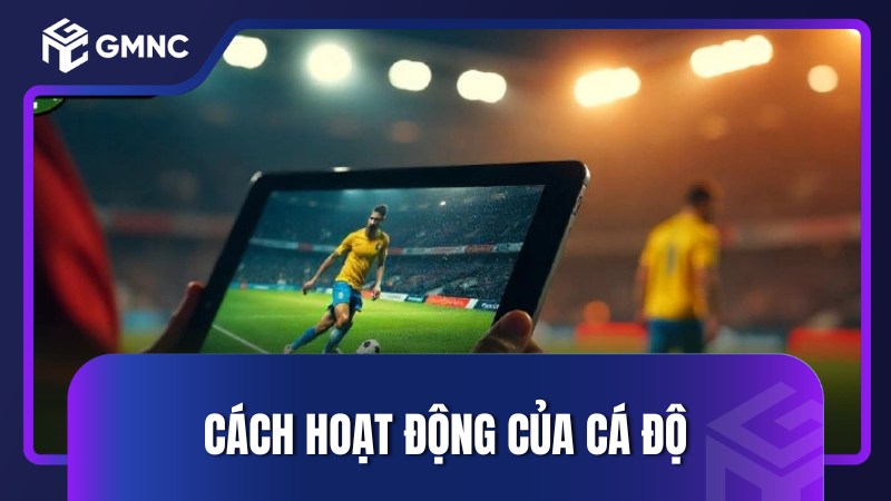 Cách hoạt động của cá độ bóng đá