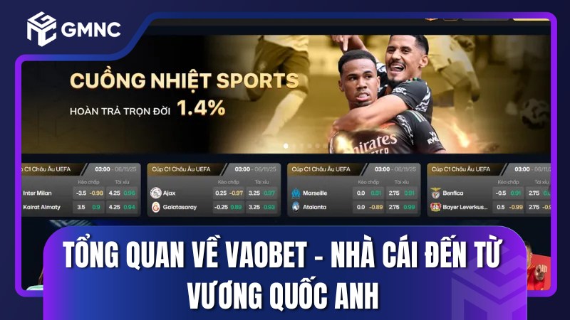 Tổng quan về Vaobet – Nhà cái đến từ Vương Quốc Anh